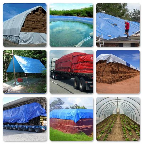 篷布：守護(hù)您的世界，從細(xì)節(jié)開始